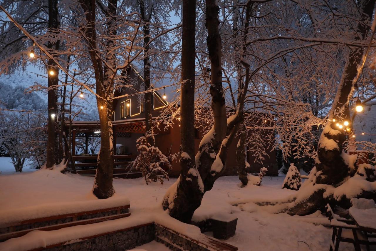De La Villa Brezovica Exterior foto